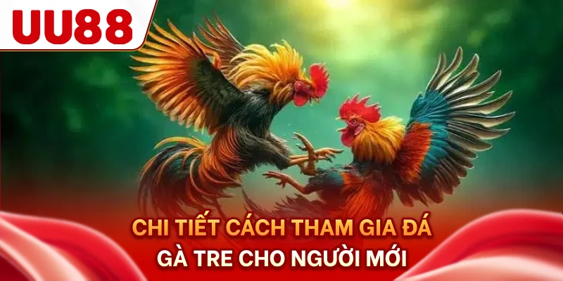Chi tiết cách tham gia đá gà tre cho người mới