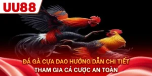 Đá Gà Cựa Dao - Hướng Dẫn Chi Tiết Tham Gia Cá Cược An Toàn