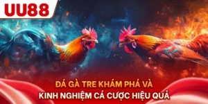Đá Gà Tre - Khám Phá Và Kinh Nghiệm Cá Cược Hiệu Quả