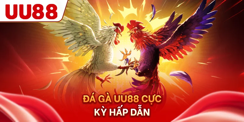 Đá gà UU88 cực kỳ hấp dẫn