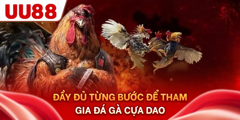 Đầy đủ từng bước để tham gia đá gà cựa dao