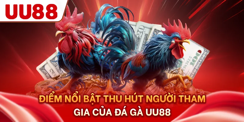 Điểm nổi bật thu hút người tham gia của đá gà UU88