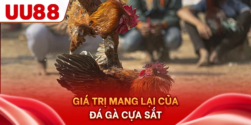 Giá trị mang lại của đá gà cựa sắt