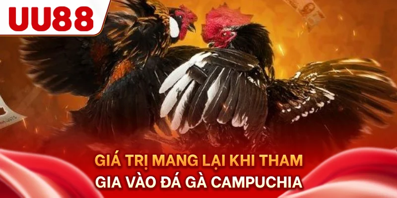 Giá trị mang lại khi tham gia vào đá gà campuchia