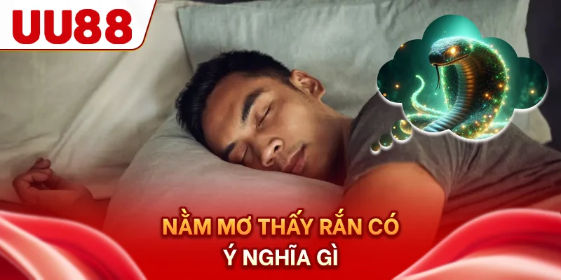 Nằm mơ thấy rắn có ý nghĩa gì?
