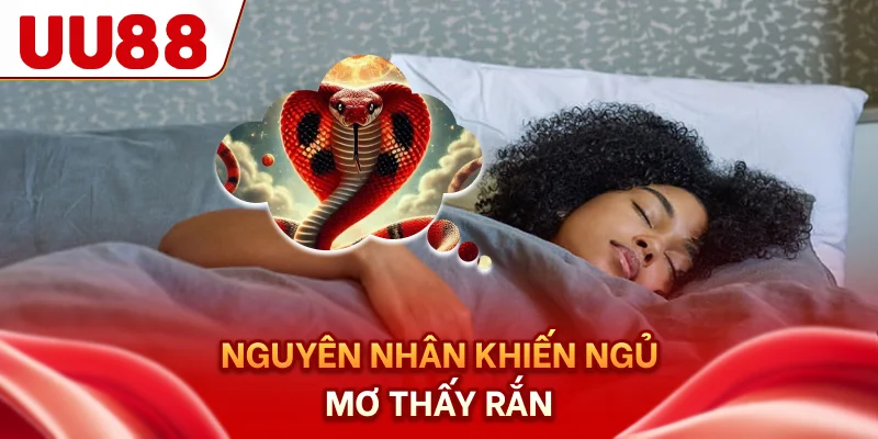 Nguyên nhân khiến ngủ mơ thấy rắn